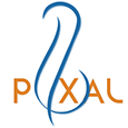 Plixal Co.s profil