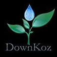 DownKoz Design Group's profile