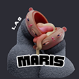 Profiel van Las Maris