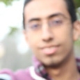 Abdel Rahman El Naggar's profile