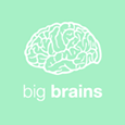 big brains's profile