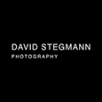 David Stegmann's profile