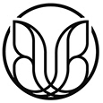 Butterfly Studio's profile