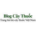 blog caythuoc's profile