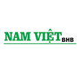 Nam Việt BHB's profile