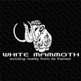 WHITE MAMMOTH's profile