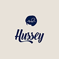 Profiel van HUSSEY 380