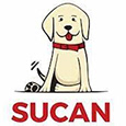 Sucan uy's profile