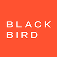 BLACKBIRD agency's profile