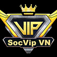 SOCVIPVN WINs profil