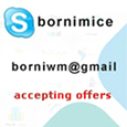 Profiel van Borni Mice