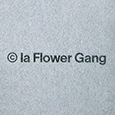 Flower Gang Collective's profile