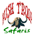 Profilo di Bush Troop Safari