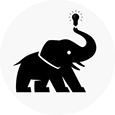 Wise Elephant's profile