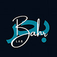 BAHR Lab's profile