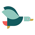 Flying Duck Studio Lab's profile