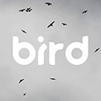 bird. viz's profile