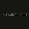 Mesosphere Group's profile