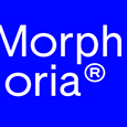 MORPHORIA COLLECTIVE's profile