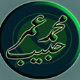 Umar Habib sin profil