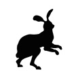 Rabbit Büros profil
