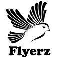 Профиль Flyerz Studio