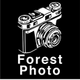 Profil von Forest Myerson