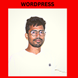 Wordpress Website Developer's profile