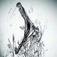 Neurotonic Spinosaurus's profile