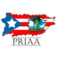 Puerto Rican Institute for Arts's profile