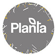 Planta Design de Guillermo Vicente's profile