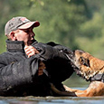 Best Protection Dog Company - Protection Dogs's profile