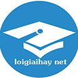 Profil użytkownika „Loigiaihay Net”