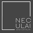 Neculai Gigi Catalin's profile