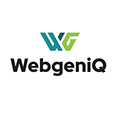 WEB GENIQ's profile