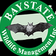 Baystate Baystate's profile