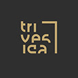Trivesica Design's profile