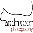 Andr Moor's profile