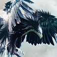 Eagle Design's profile