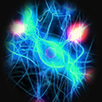 Terceiro Neurônios profil