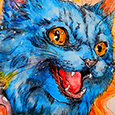 Blue Cat's profile