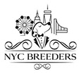 NYC Breeders's profile