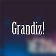 Grandiz Company's profile