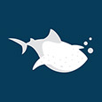 Whale Shark Studio's profile