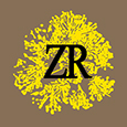 Студия aZaRa's profile