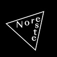 Noreste Studio's profile