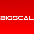 Bigscal Technologies's profile