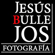 Jesús Bullejos's profile