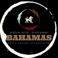 GoBimm Bahamas さんのプロファイル
