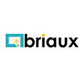 Briaux IT Solutions's profile